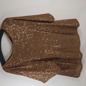 Skies are Blue Curvy top 1X Lined Light Bronze Sequin NWT  Batwing Sleeves